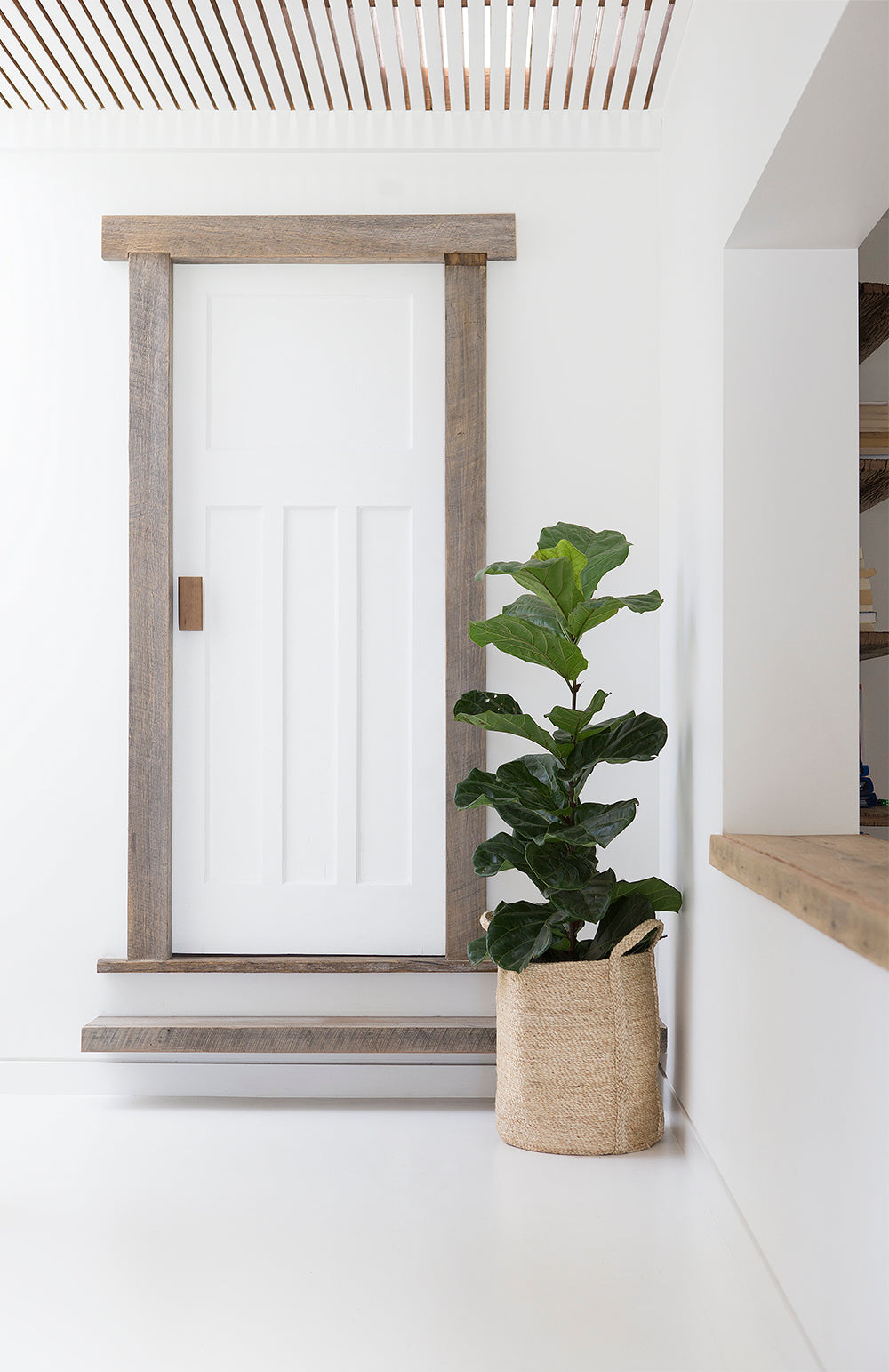 Gifts for Plant Lovers