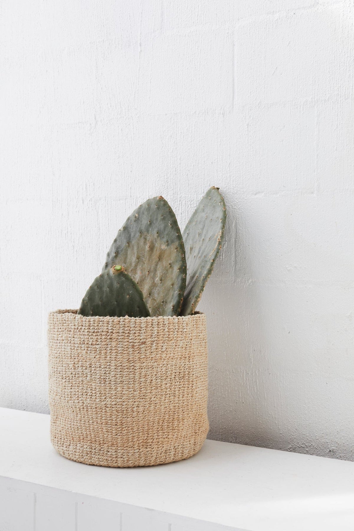 Woven Pot - Large