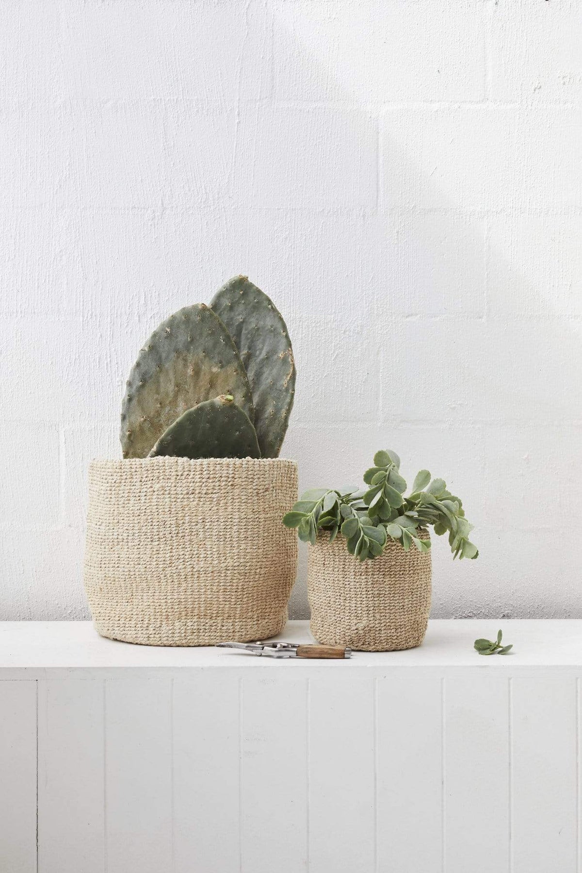 The Dharma Door Basket Woven Pot Duo Woven Pot Duo