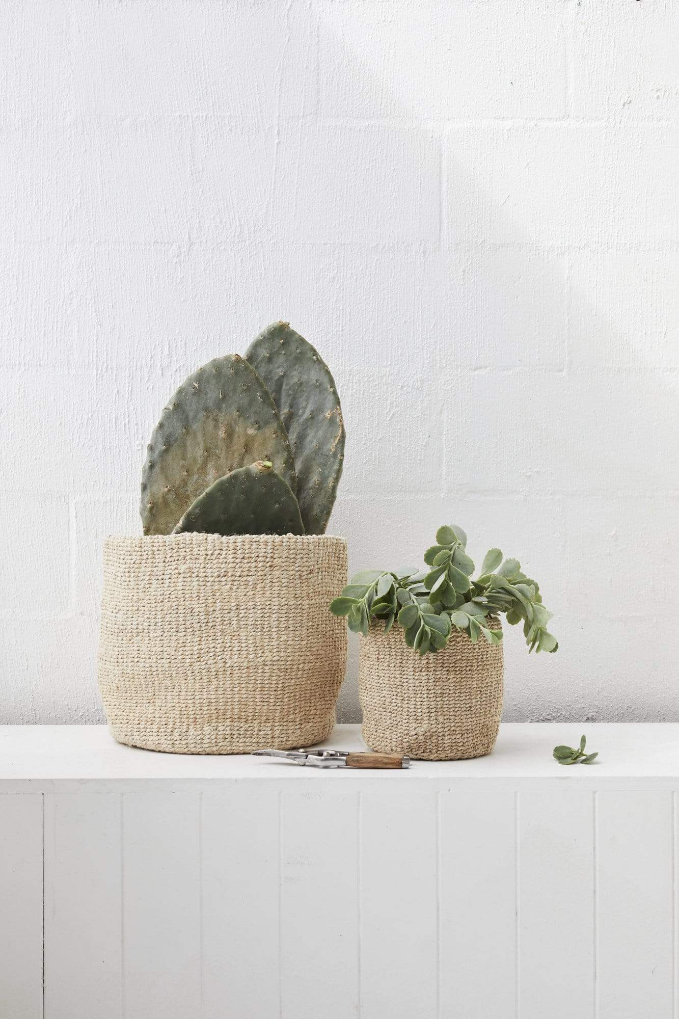 The Dharma Door Basket Woven Pot Duo Woven Pot Duo